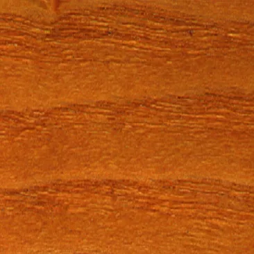 HOLZFARBE - COLORANTE UNIVERSALE ACQUA/SOLVENTE 250ML GIALLO 120