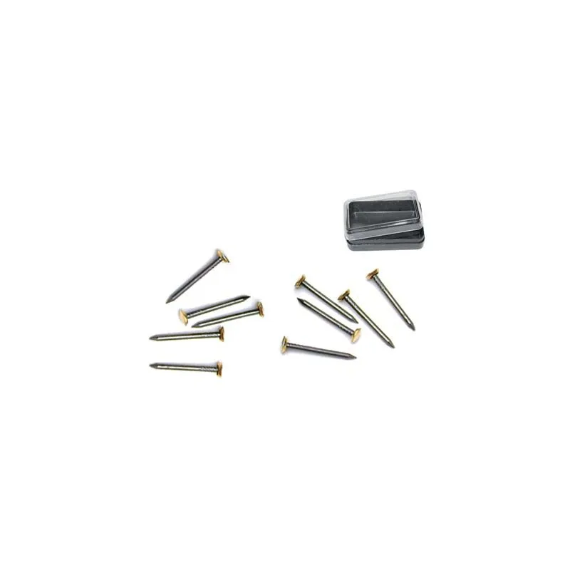 CHIODI ACCIAIO T.OTTONE MM.25 PZ.15 C.12