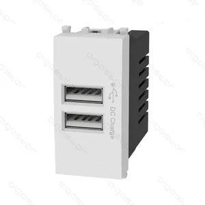 PRESA CON DOPPIO INGRESSO USB BIANCA SERIE AVP