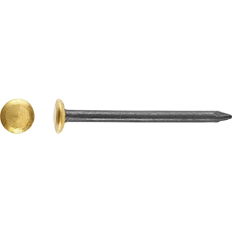 CHIODI ACCIAIO T.OTTONE MM.20 PZ.15 C.12